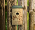Love Birds Bird Box